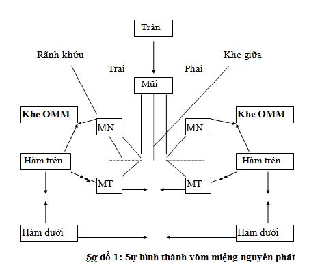 sodovommieng